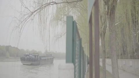 Tree Lined Path China Park 動画素材 337242934