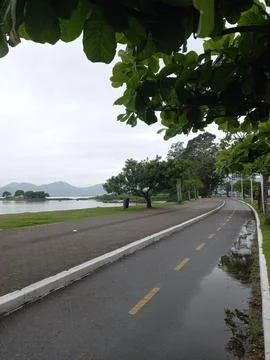 Tree-lined path Stock Photos