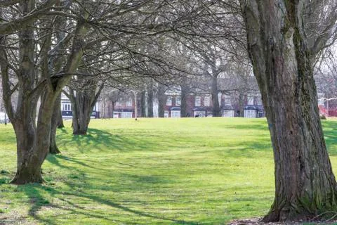 Tree lined path in the sunshine Stock Photos