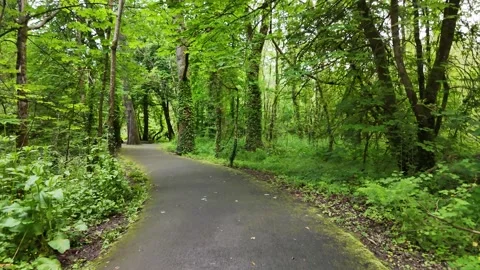 Tree Lined Path in Templemore Town Park Ireland Stock Footage 332668602