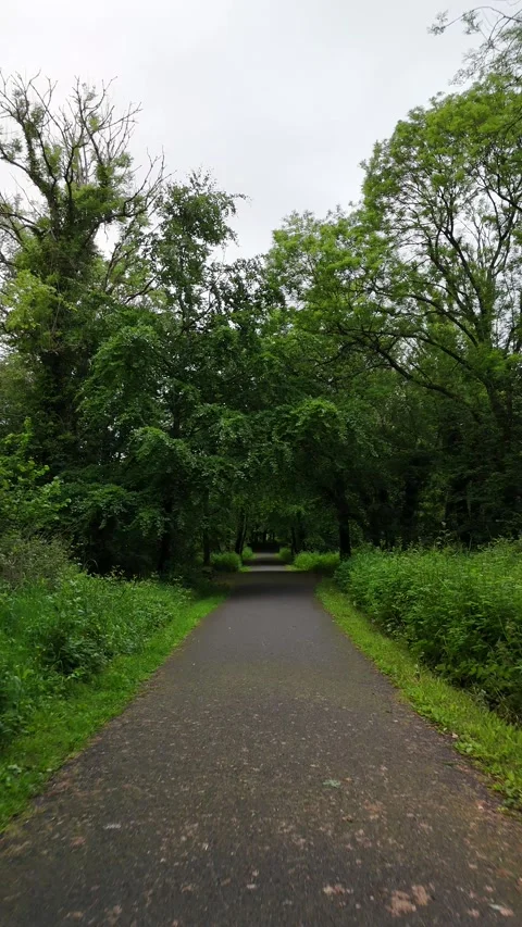 Tree Lined Path in Templemore Town Park Ireland Stock Footage 332668730