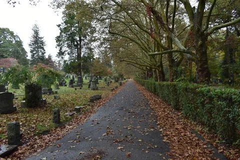 Tree Lined Path through Sleepy Hollow Cemetery on a Rainy Fall Day, NY Stock Photos