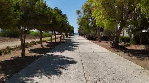 Tree Lined Path Towards The Beach In Paphos, Cyprus. - aerial shot Stock Footage 291296616