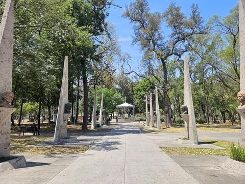 Tree-Lined Pathway with Busts at Morelos Park in Guadalajara Stock Photos