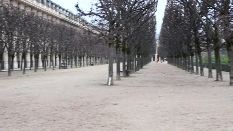 Tree-Lined Pathway at Empty Palais Royal Gardens, Paris Stock Footage 292321096