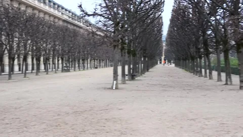 Tree-Lined Pathway at Empty Palais Royal Gardens, Paris Stock Footage 304677962