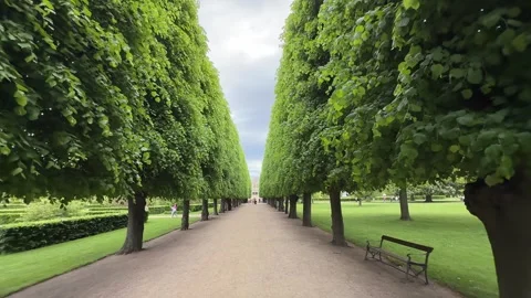 Tree-lined pathway in King's Garden (Kongens Have), Copenhagen city, Denmark Stock Footage 344996803