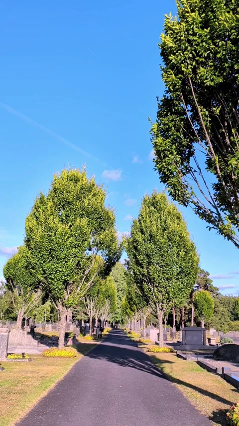 Tree Lined Pathway in Kinnarumma Churchyard Cemetery Stock Footage 343111024