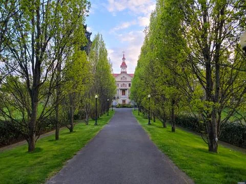 Tree-Lined Pathway Leading to Historic Building Foto stock