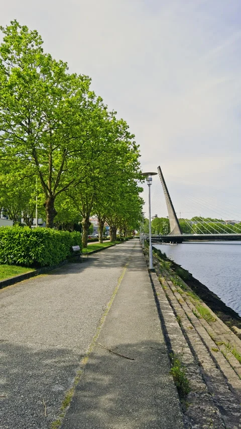 Tree-Lined Pathway by Modern Bridge Stock Footage 280257073