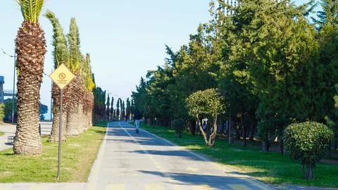 Tree-lined pathway with palm trees and pedestrian sign in urban park Stock Photos
