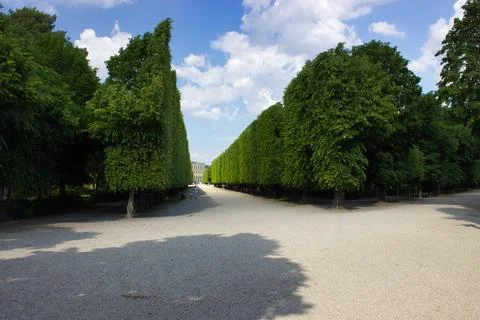 Tree-Lined Pathway in a Park Stock Photos
