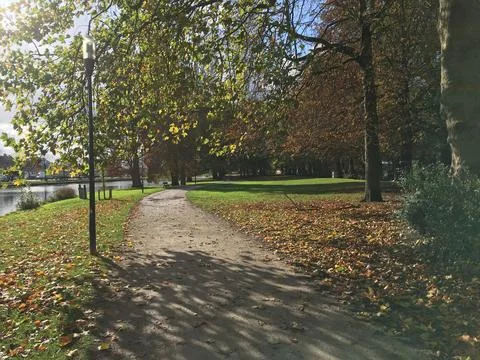 Tree-lined pathway in a peaceful park in Belgium with sunlight 스톡 사진