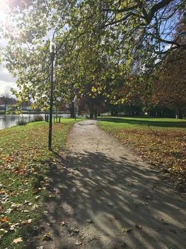 Tree-lined pathway in a peaceful park in Belgium with sunlight 스톡 사진