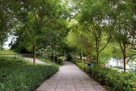 Tree Lined Pathway In Urban Park Stock-Fotos