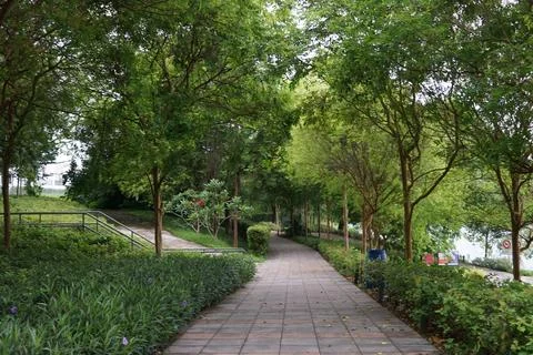 Tree Lined Pathway In Urban Park Foto stock