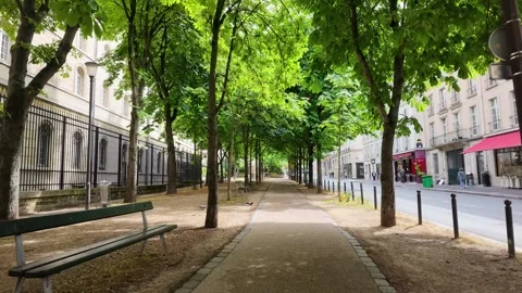 Tree Lined Pedestrian Path in a Sunny Parisian City Park Stock Footage 335850041