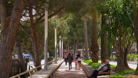 Tree Lined Pedestrian Walkway in Monaco Park 4K Vidéo 343629046