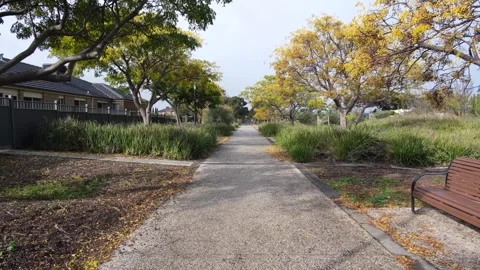 A tree-lined pedestrian walkway runs through a local park Stock Footage 275827673