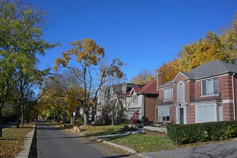 Tree lined residential street with fall colors Stock Photos