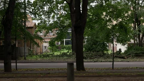 Tree-lined residential street with fallen branches after strong wind beside Stock Footage 345373458