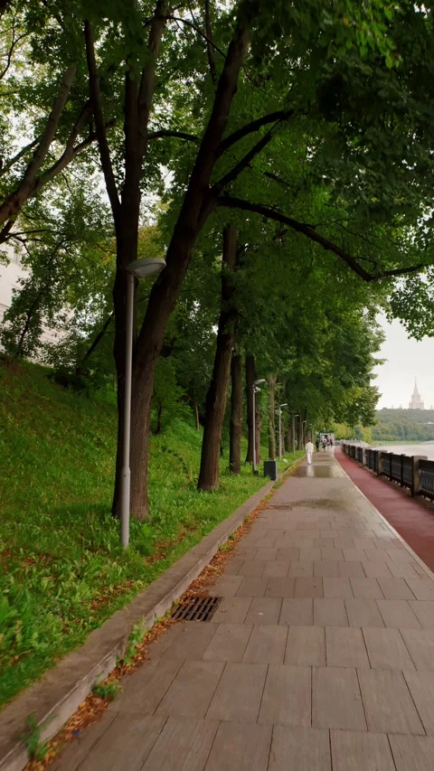 Tree-lined river embankment with walking path and bench Video stock 318199750
