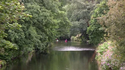 Tree-lined river with kayak and canoe. Video stock 77063188