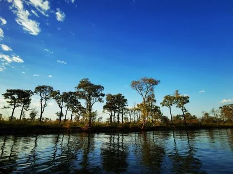 Tree lined river Stock Photos