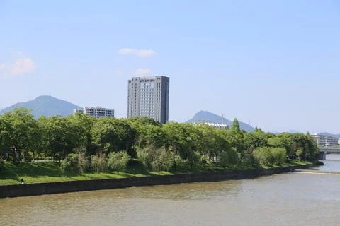 Tree-lined riverbank and tall building rise beyond brown water under a clea.. Stock Photos