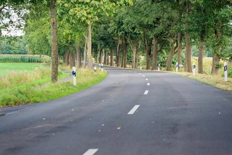 Tree lined road bending left between tall leafy trees in Germany late summer Stock Photos