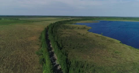 Tree-lined road between meadows and lakeside Stock Footage 156281229