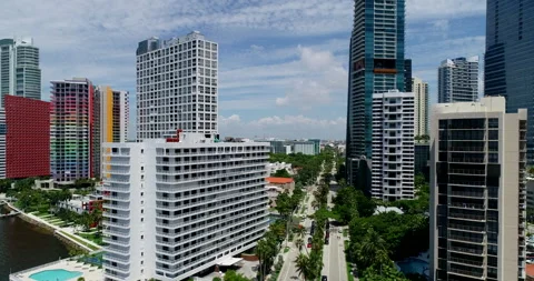 Tree lined road in downtown Miami Stock Footage 157269639