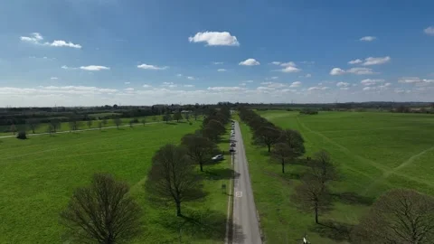 Tree lined road Stock Footage 238010695