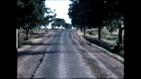 Tree-Lined Road Stock Footage 277976381