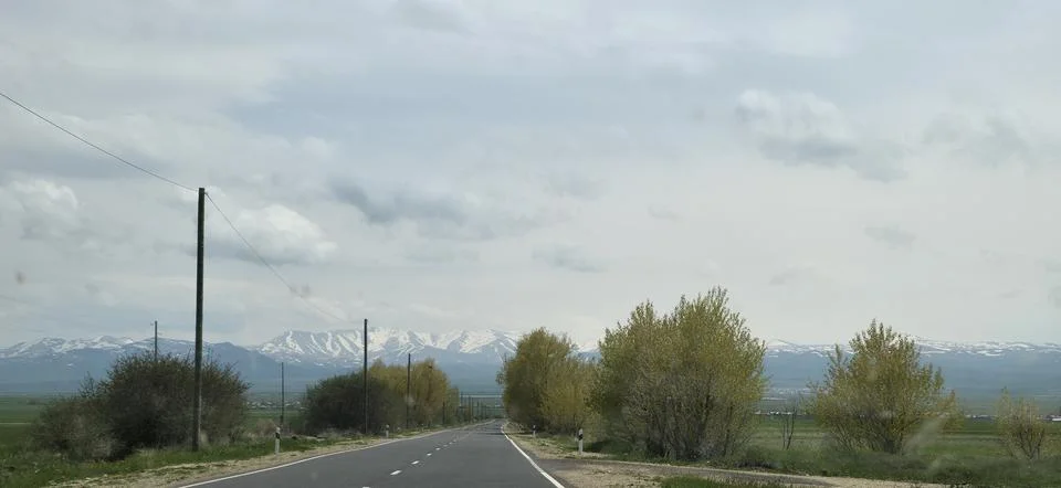 Tree-Lined Road with Snow Mountains in Distance Stock Photos