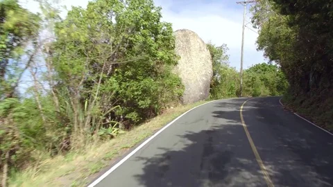 Tree lined road on st john, united states virgin islands Stock Footage 72875844