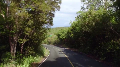 Tree lined road on st john, united states virgin islands Stock Footage 72875874