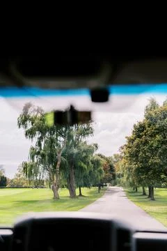 Tree-lined road view through vehicle windshield Fotos Stock