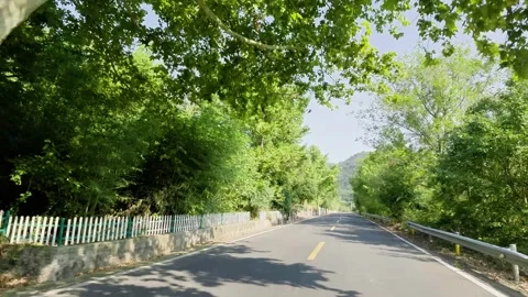 Tree-Lined Rural Road Near Jingshan International Tennis Center Hubei Vídeos de archivo 345206885