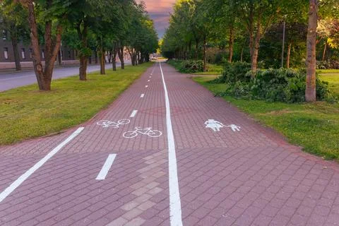 Tree lined shared path with bicycle and pedestrian symbols Stock Photos