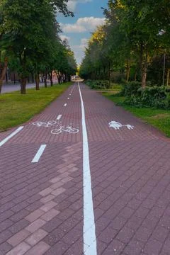 Tree lined shared path with bike and pedestrian symbols under blue sky Stock Photos