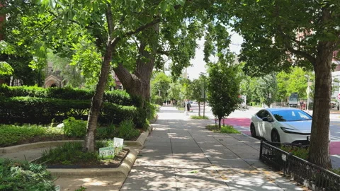 Tree-lined sidewalk and street in Washington D.C. Video stock 323534515