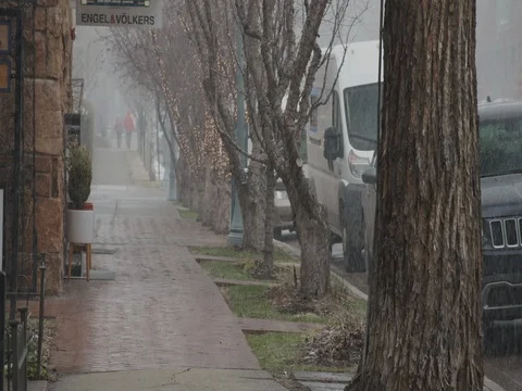 Tree lined sidewalk in front of street during snowfall Stock Footage 84504874