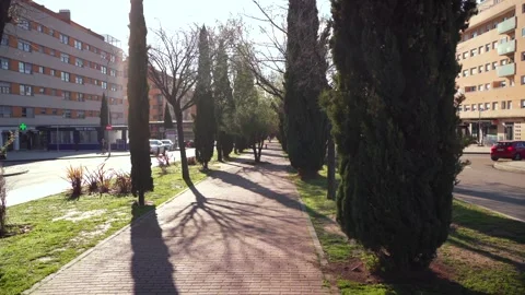Tree Lined Sidewalk in Sanchinarro Madrid Residential Area Vídeos de archivo 304161810