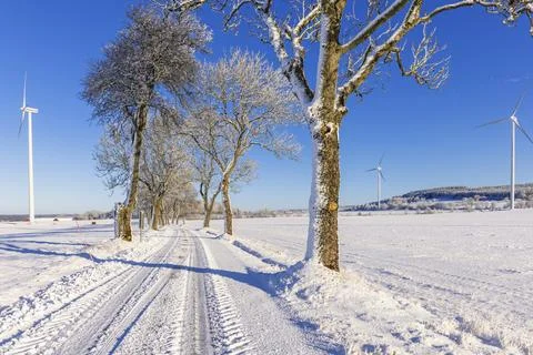 Tree lined snowy road with wind turbines on the fields in the countryside a cold Stock Photos