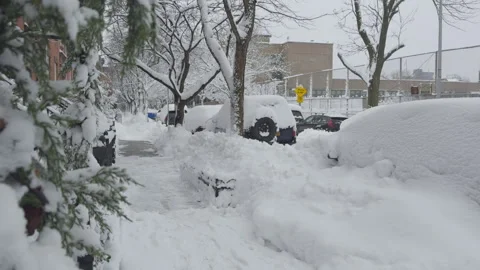 Tree-Lined Snowy Sidewalk, Brooklyn NYC, Looking Down, Winter Blizzard 動画素材 329687208