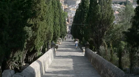 Tree lined Spanish walkway Stock Footage 58816813