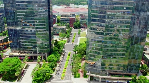 Tree lined street between glass office facades in Guangzhou China Stock Footage 345958090