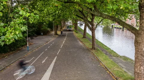 Tree-lined street bike Video stock 68563448