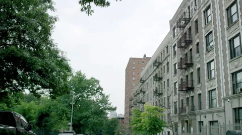 Tree-lined street in Harlem - driving up urban street in 4K, NYC Video stock 52327689